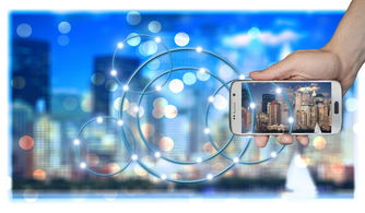 开云体育app官网下载地址-高校运动训练科学化管理策略研究，高校运动训练科学化管理策略研究论文